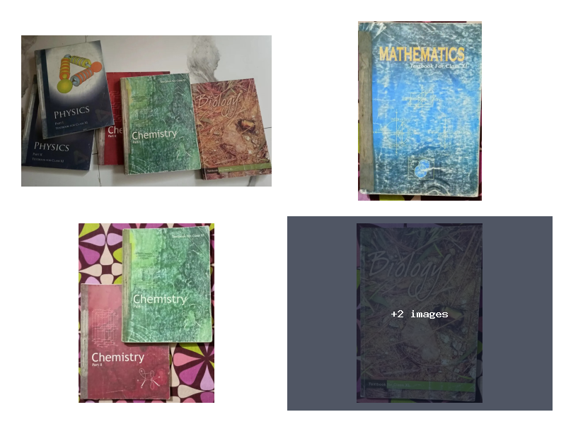 Class 11    NCERT Books
