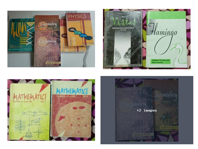 Class 12      NCERT Books