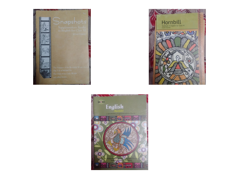 Class 11 english hornbill and snapshots