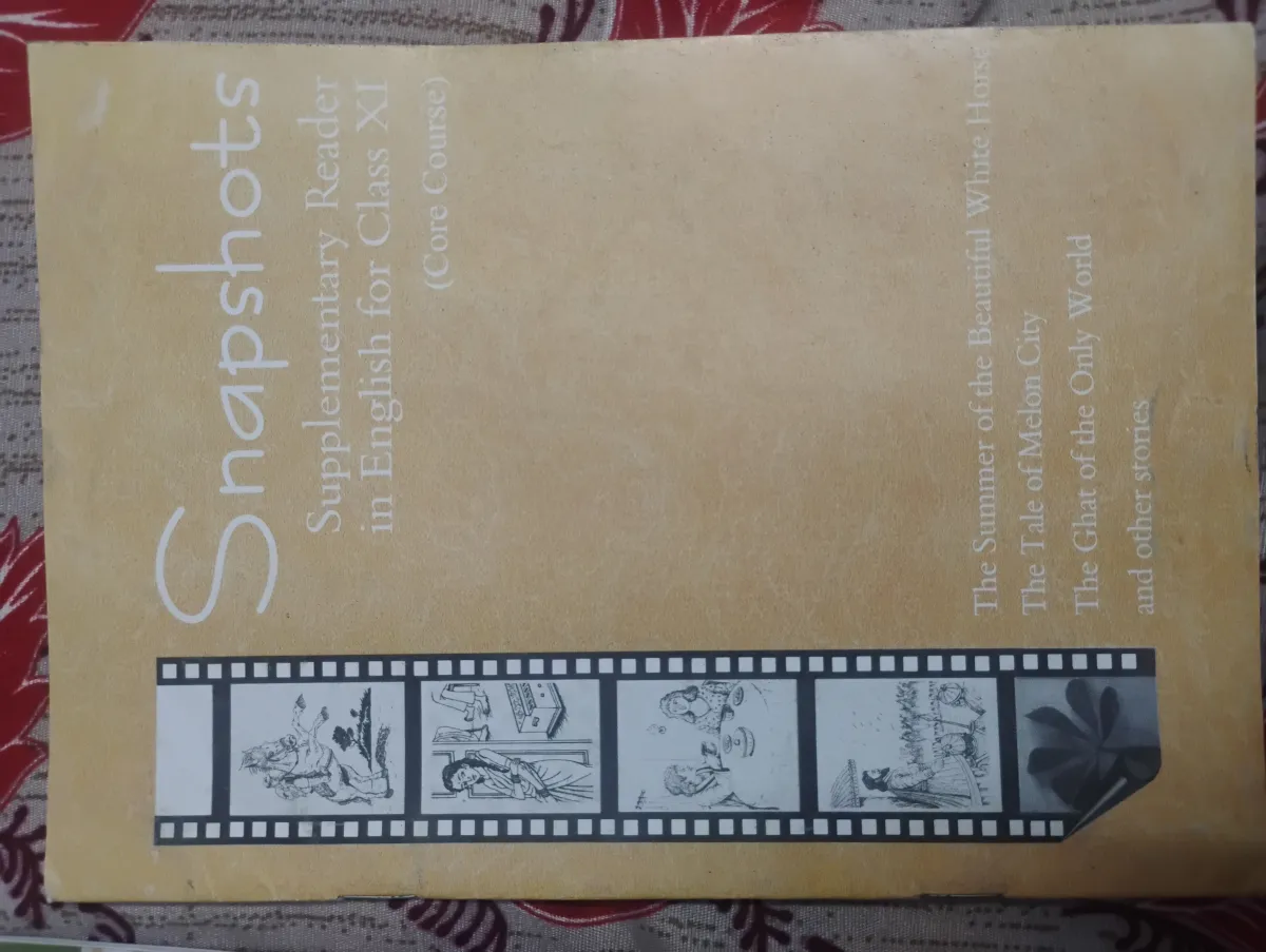 Class 11 english hornbill and snapshots